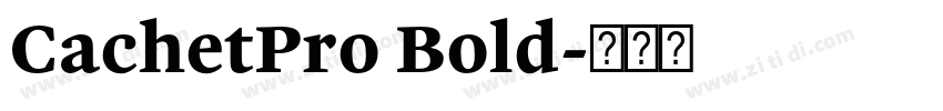 CachetPro Bold字体转换